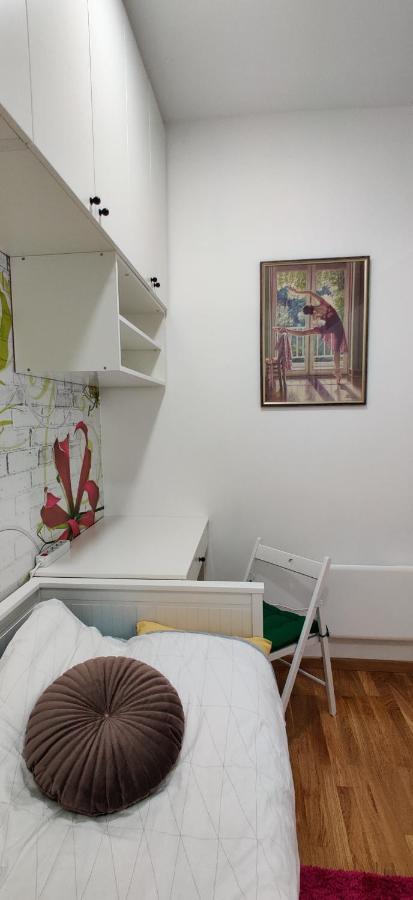 Lux Center Of Belgrade 2 Bedrooms, Sleeps 6 - Free Parking Kültér fotó